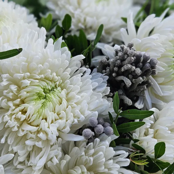 Букет хризантем, бруний и фисташек