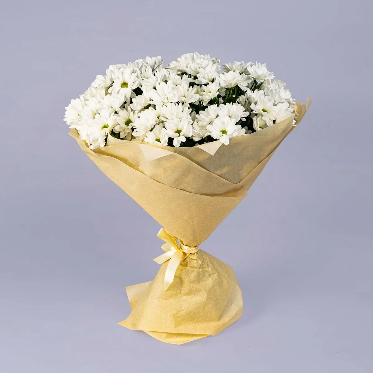 45 хризантем Бакарди