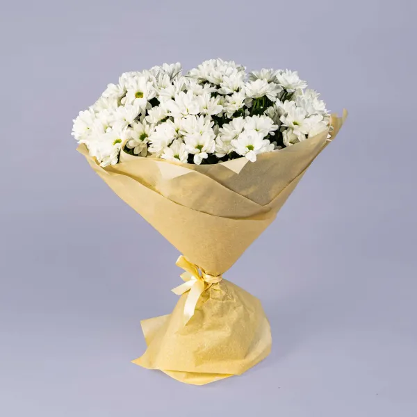 15 хризантем Бакарди