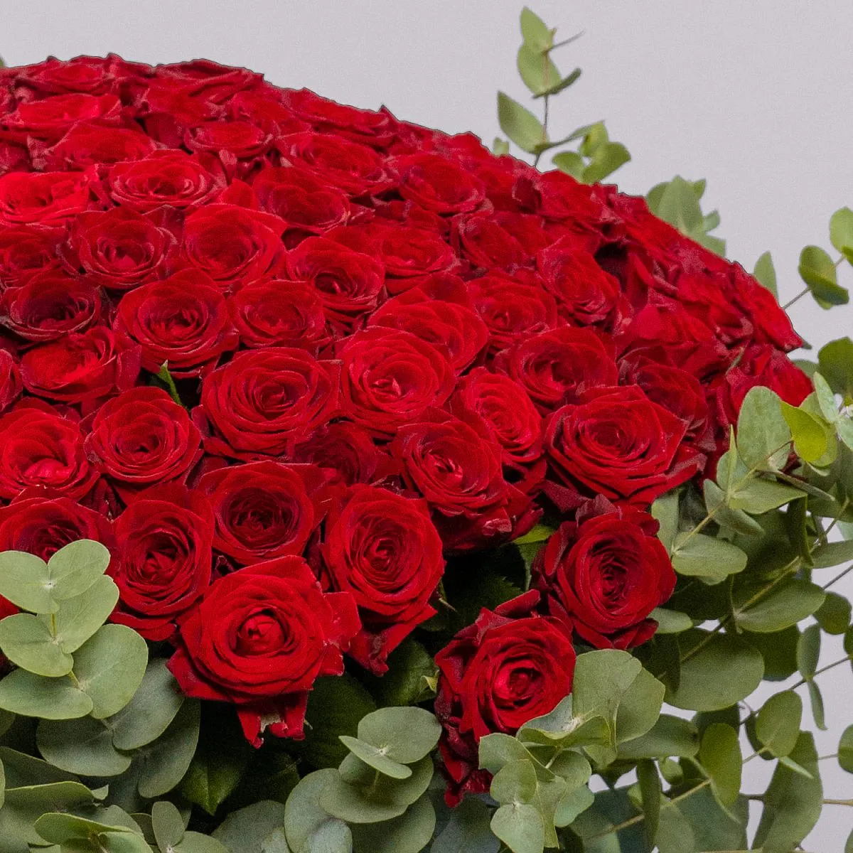 Букет из 151 розы и эвкалипта