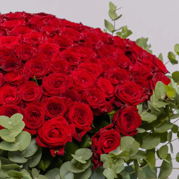 Букет из 151 розы и эвкалипта