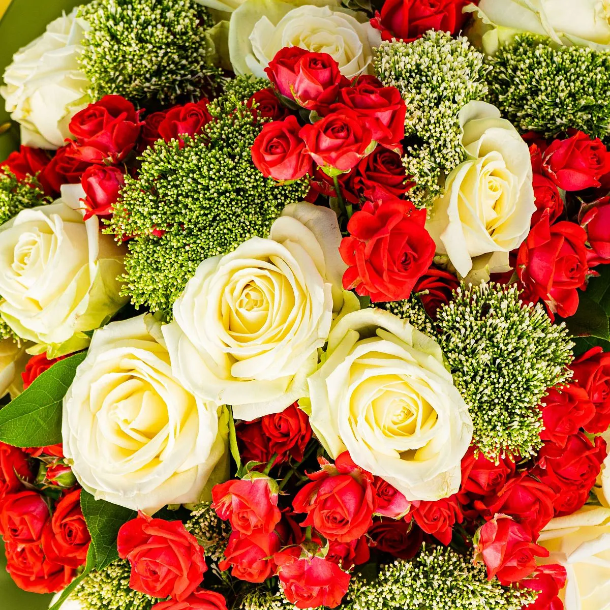 23 белых и красных роз микс большой