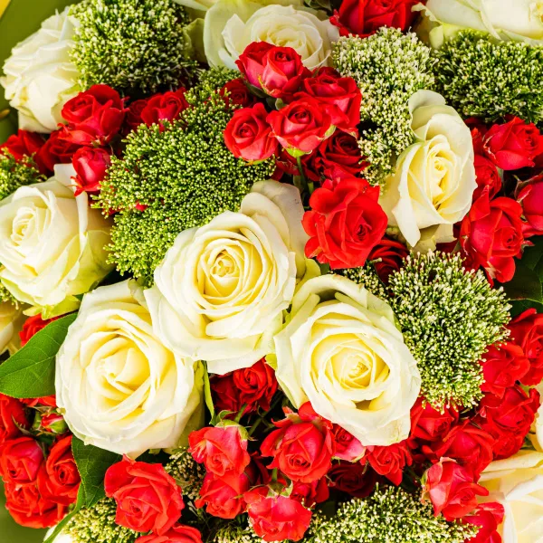 25 белых и красных роз микс