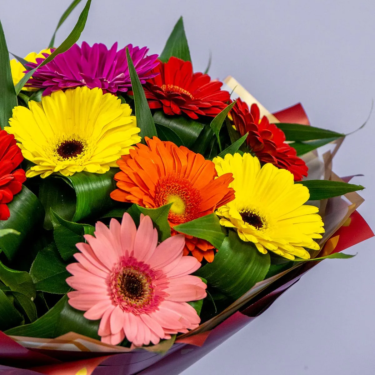 Букет из 15 гербер