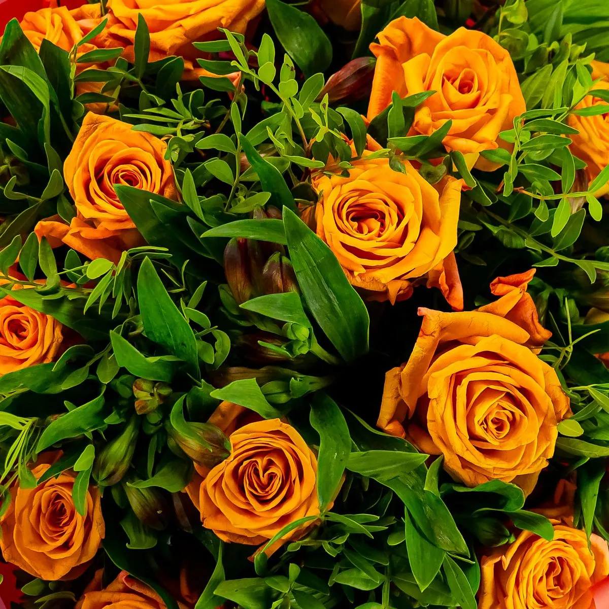 Букет из 15 оранжевых роз