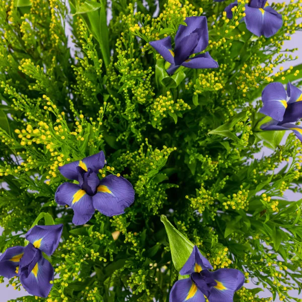 Букет из 25 ирисов