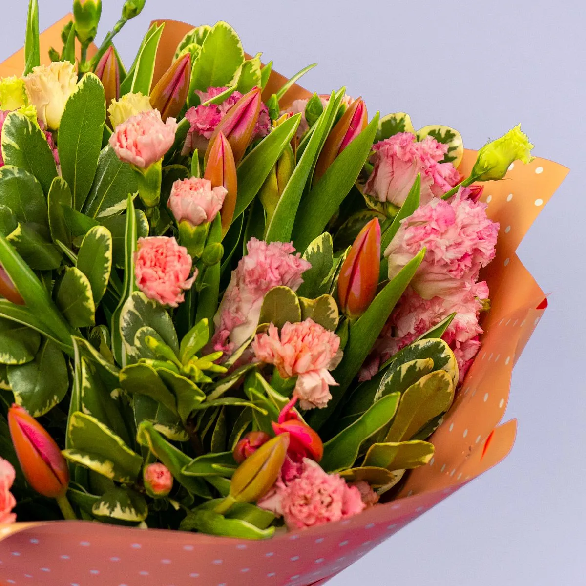 Букет из 25 тюльпанов и гвоздик