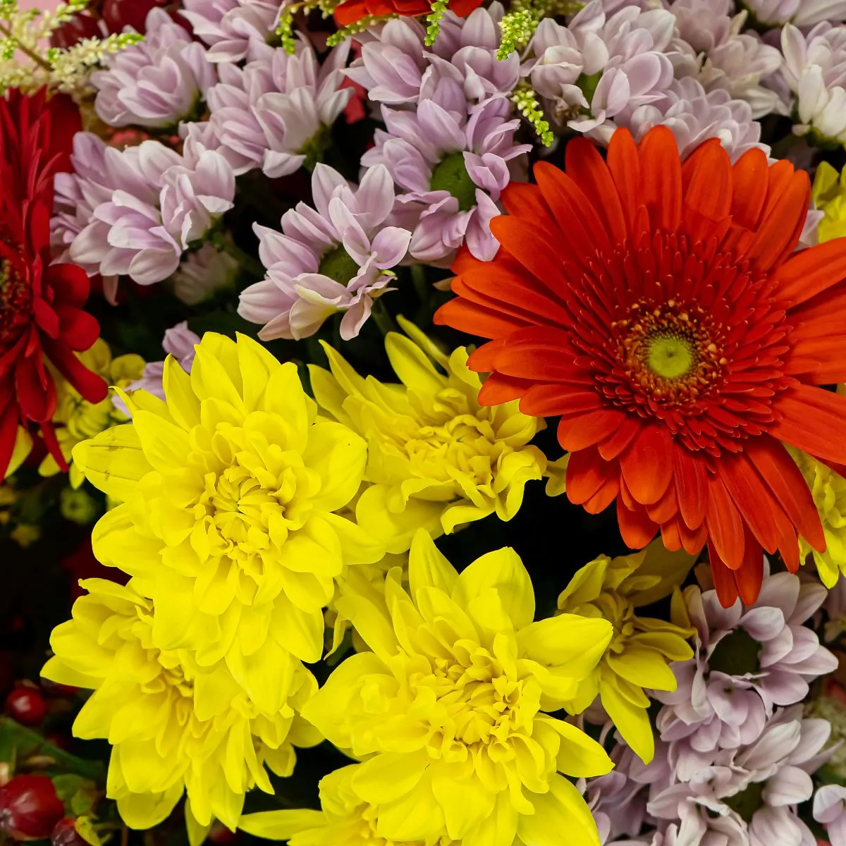 Букет из хризантем микс и 7 гербер
