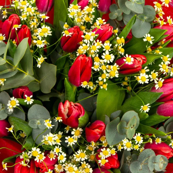 Букет из 25 тюльпанов и танацетумов