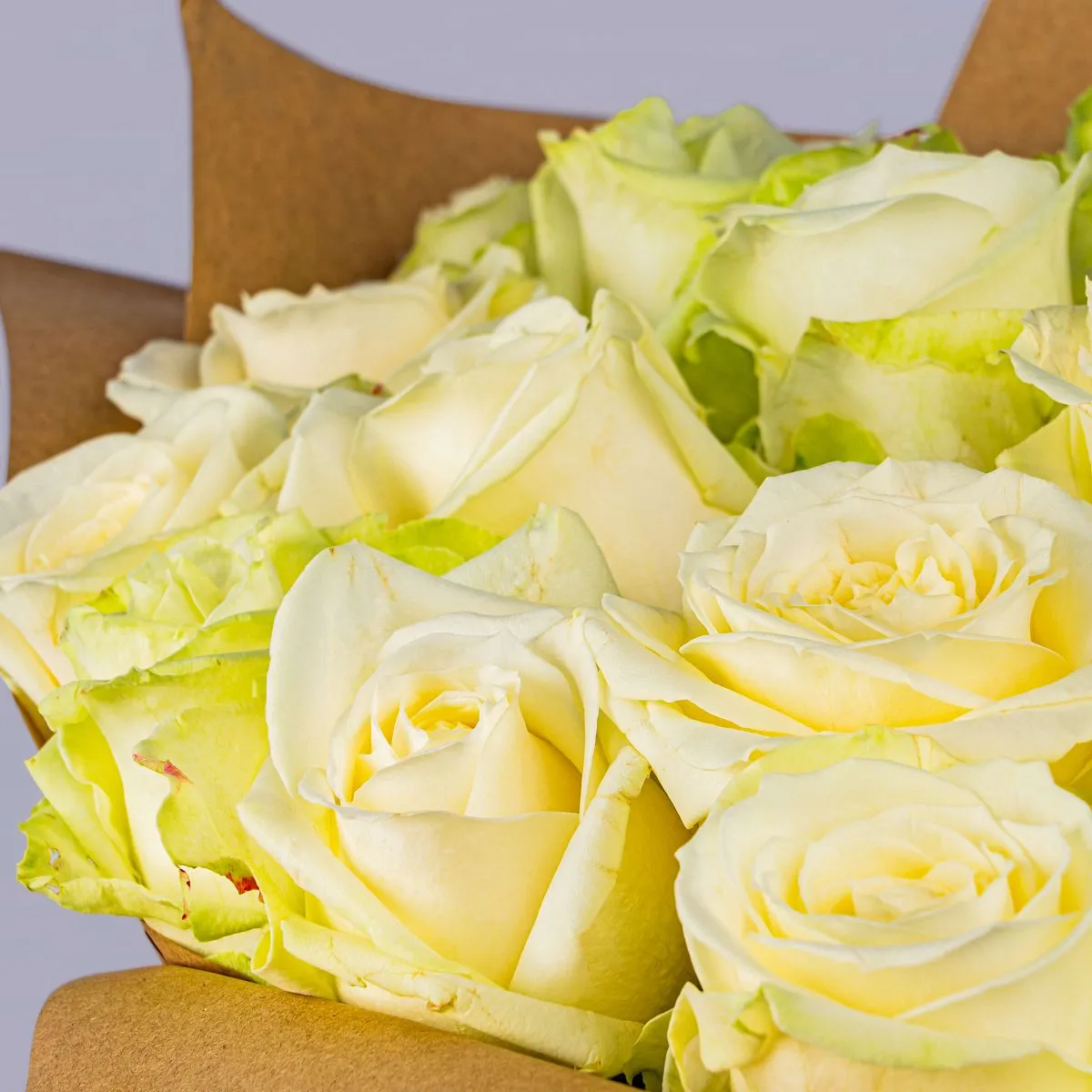 45 бело-зеленых роз (70 см)