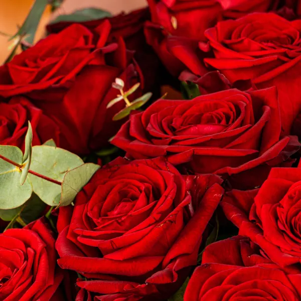Букет из 25 красных роз (50 см)