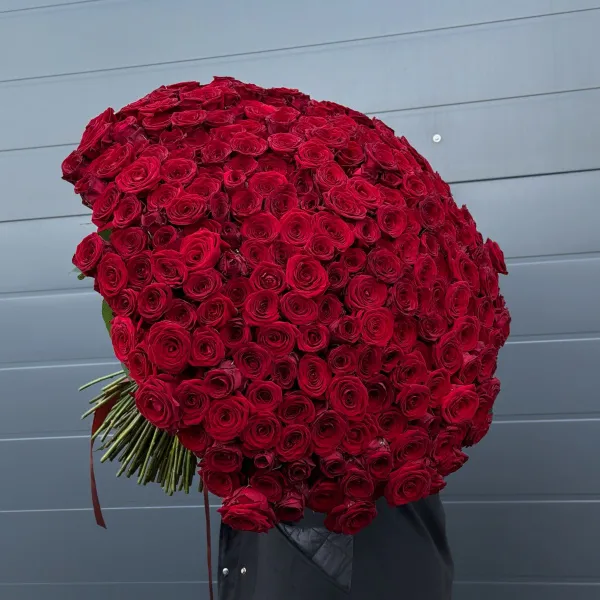 301 красная роза (70 см)