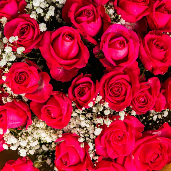 Букет из красных роз и гипсофилы