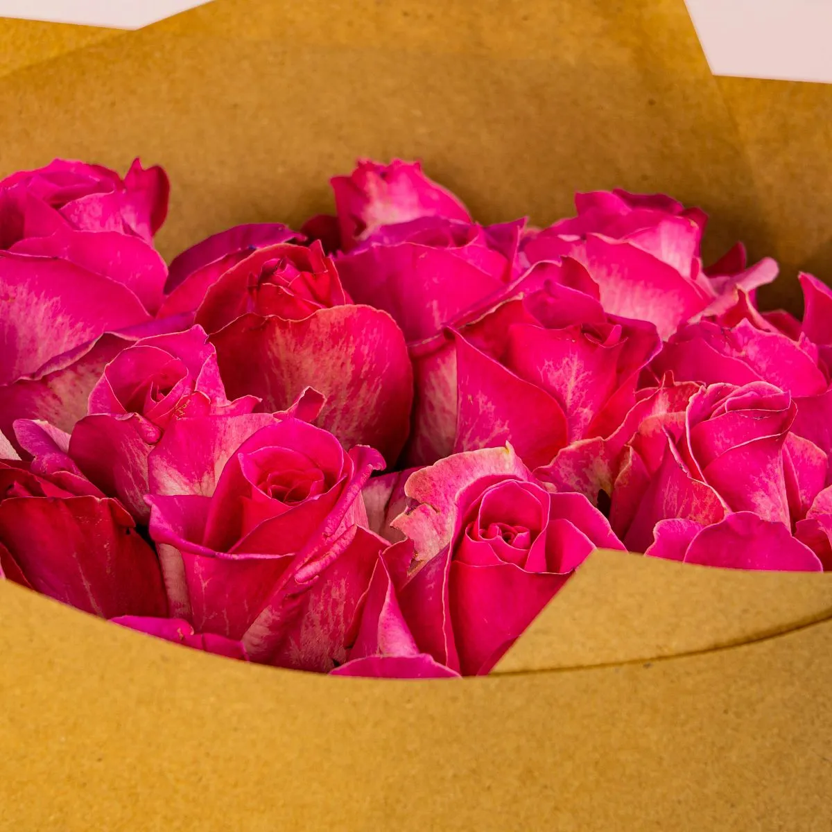 29 ярко-розовых роз (70см)