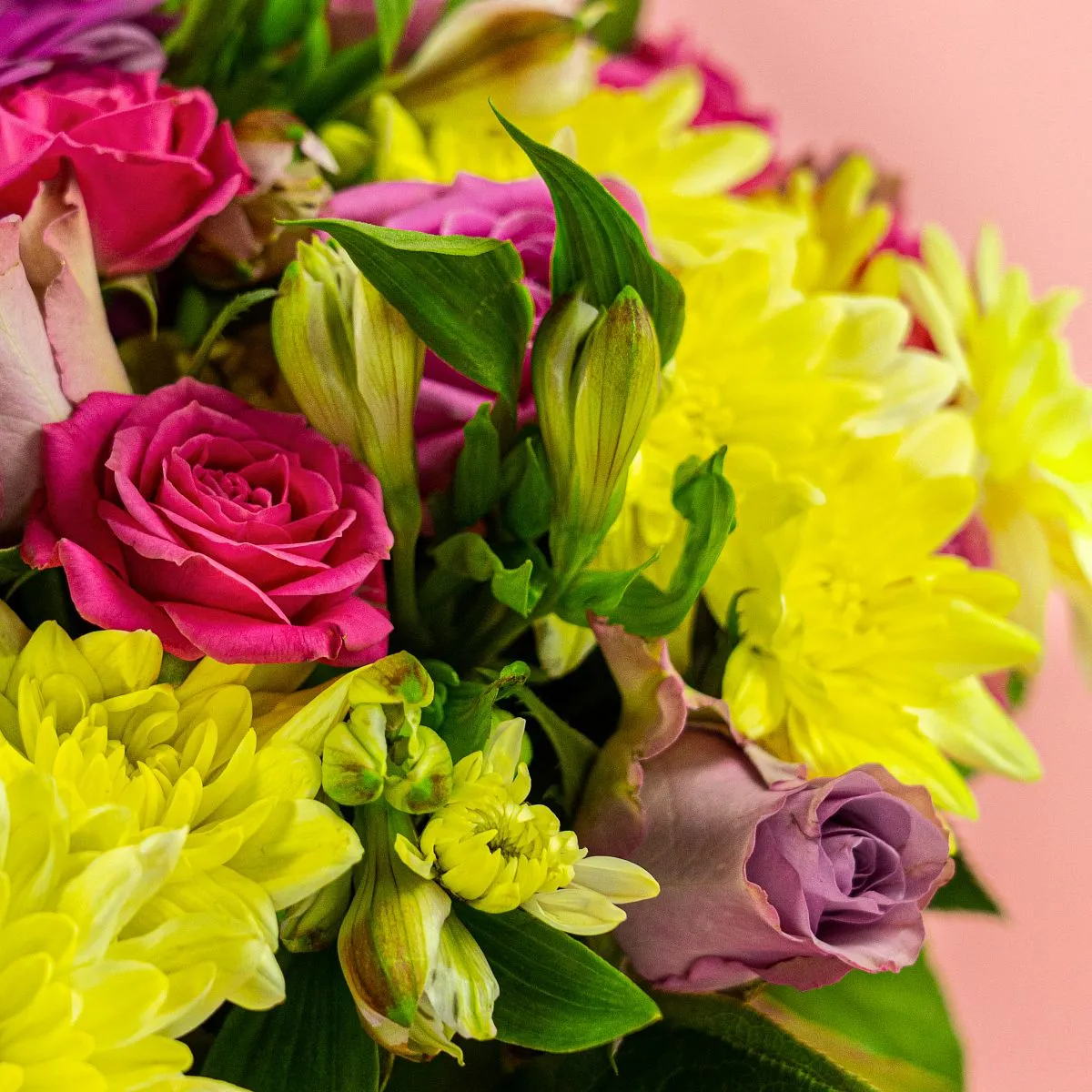 Розы микс, хризантемы, гербера в коробке