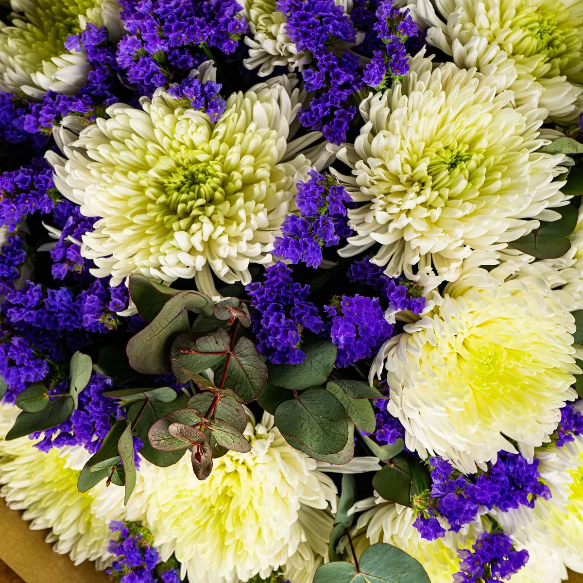 Букет из белых хризантем