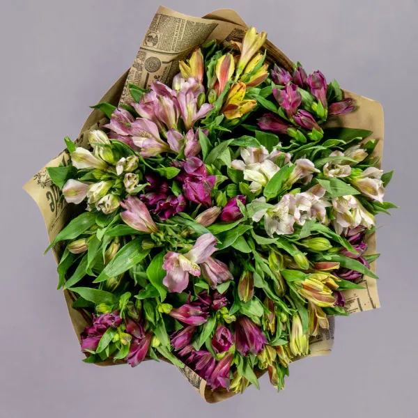 11 альстромерий