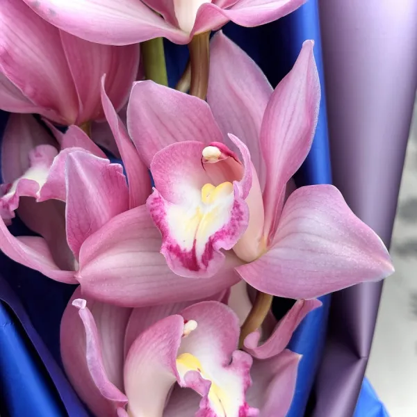 Букет из орхидей