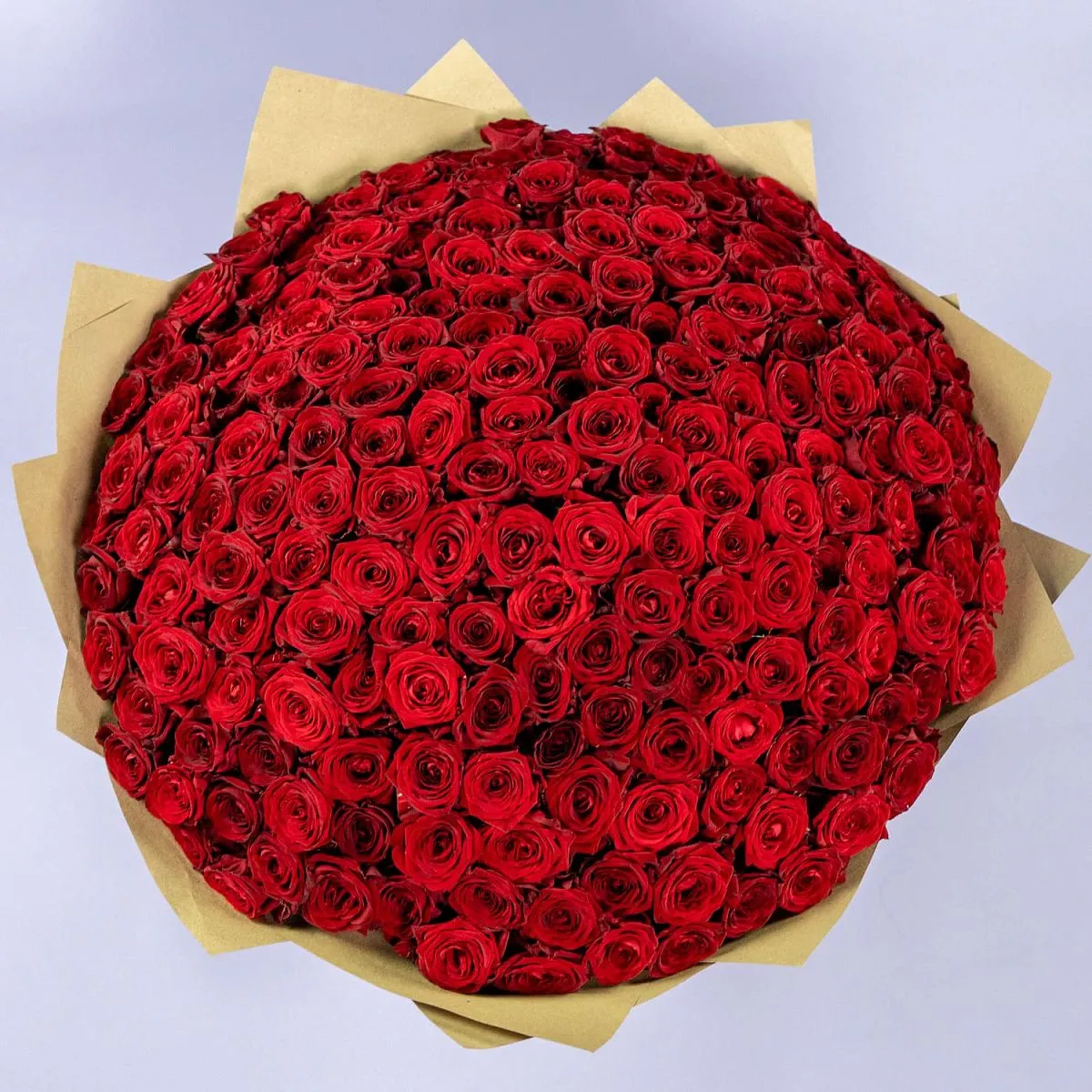 201 красная роза (60 см)