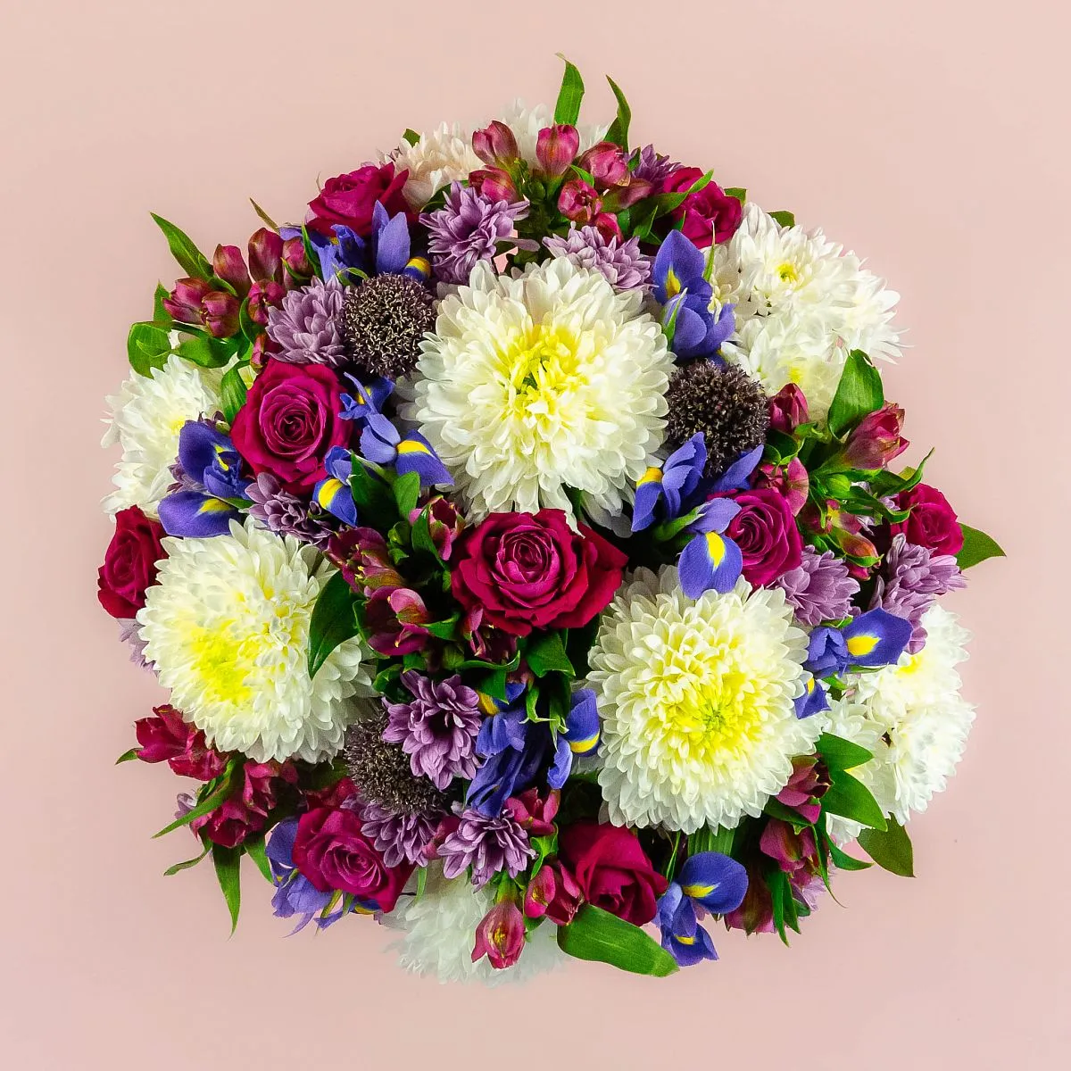 Ирисы и хризантемы микс в коробке