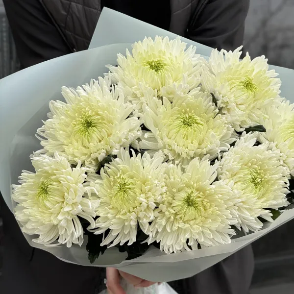 Букет из 9 белых хризантем