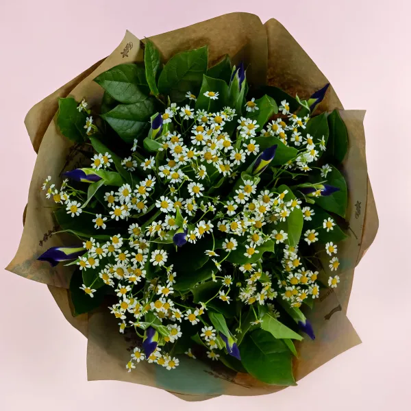 Букет из ромашек и 11 ирисов