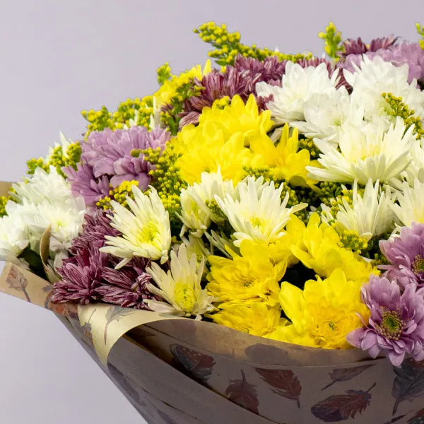 Букет из 25 хризантем микс и солидаго