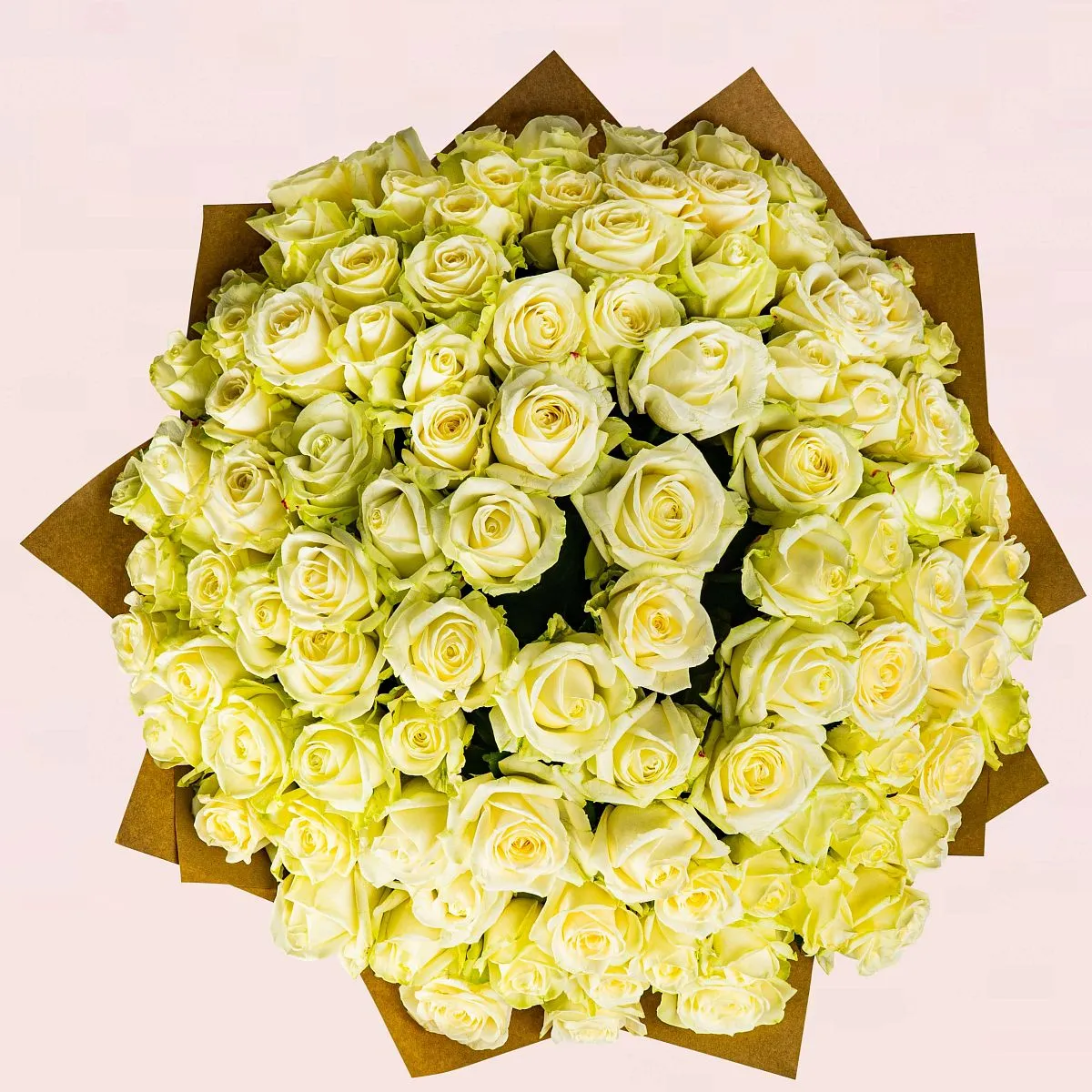 101 бело-зеленая роза (40 см)