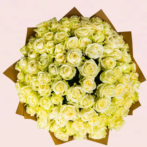 101 бело-зеленая роза (40 см)