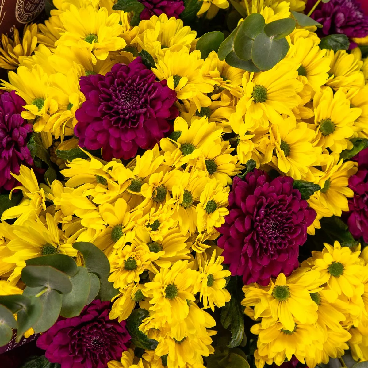 Букет из ярких хризантем микс