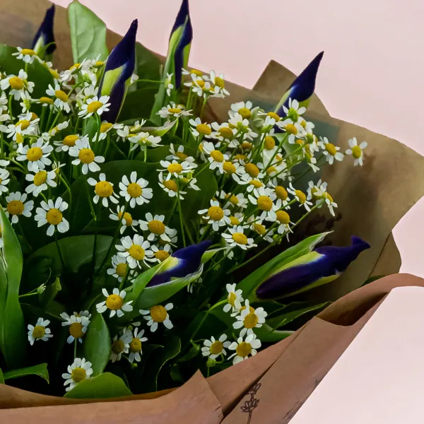 Букет из ромашек и 11 ирисов