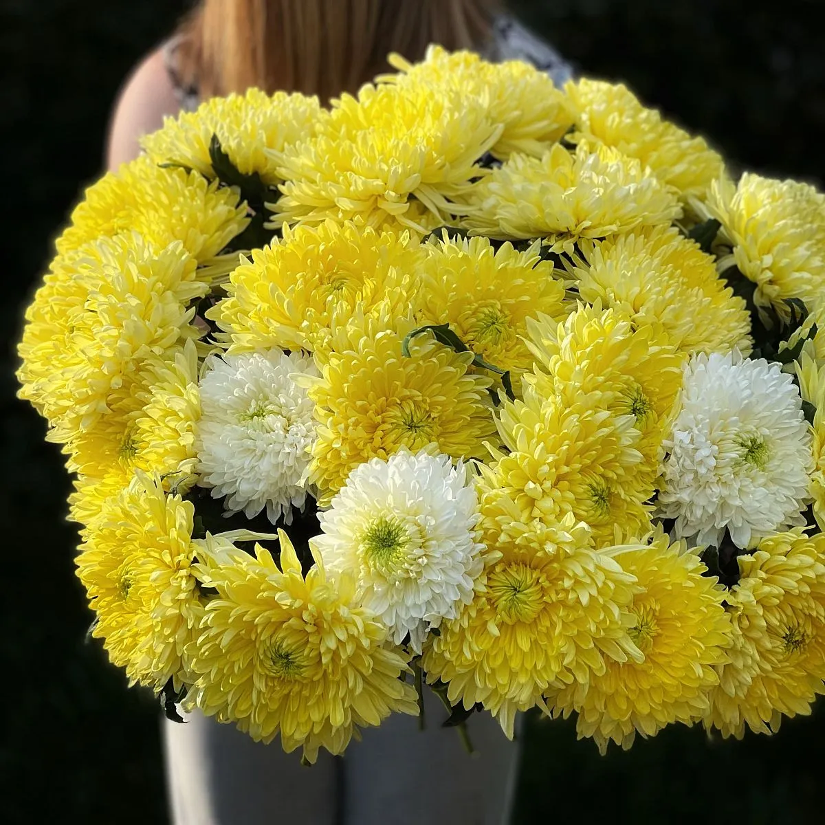 29 одноголовых хризантем