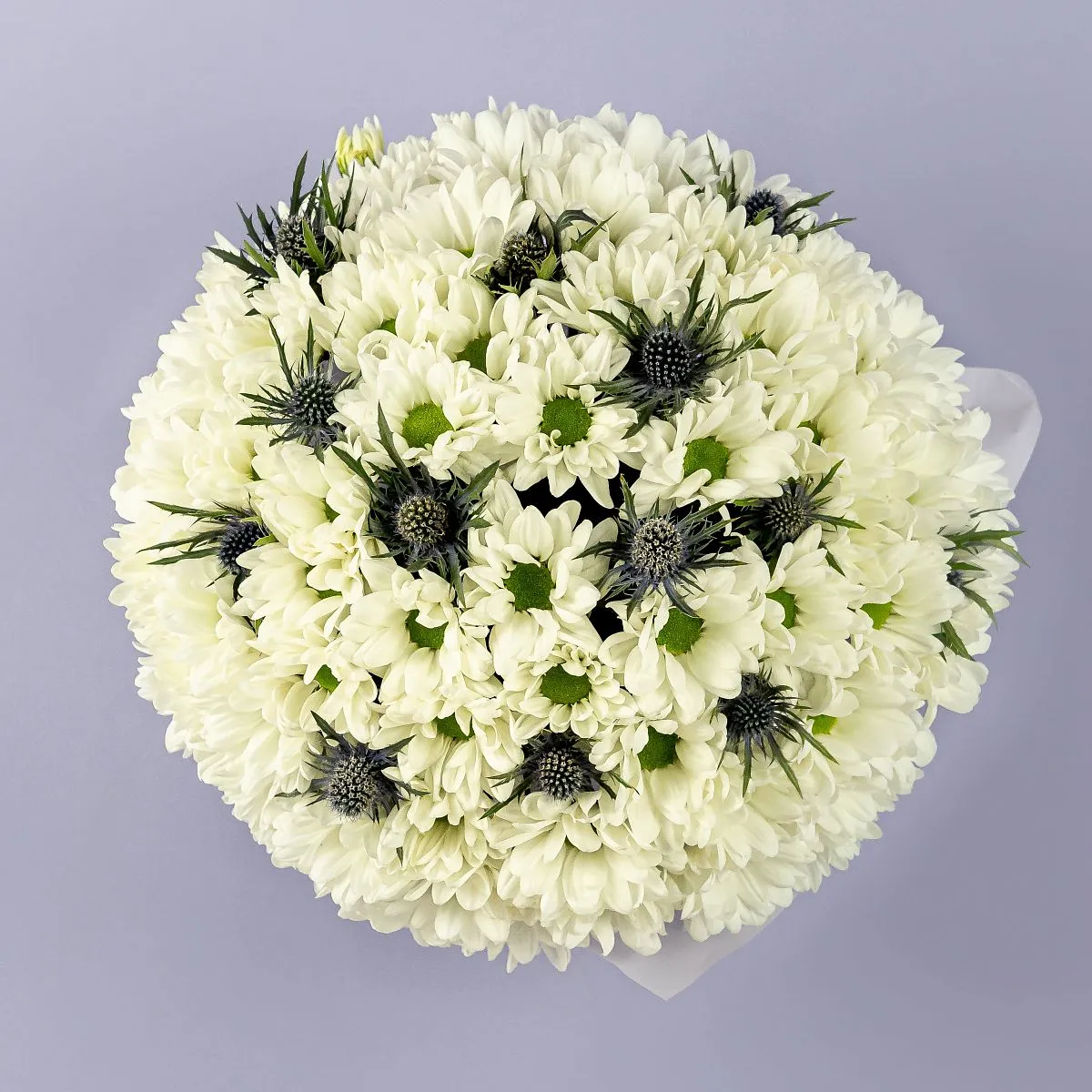 Белые хризантемы и эрингиумы в коробке