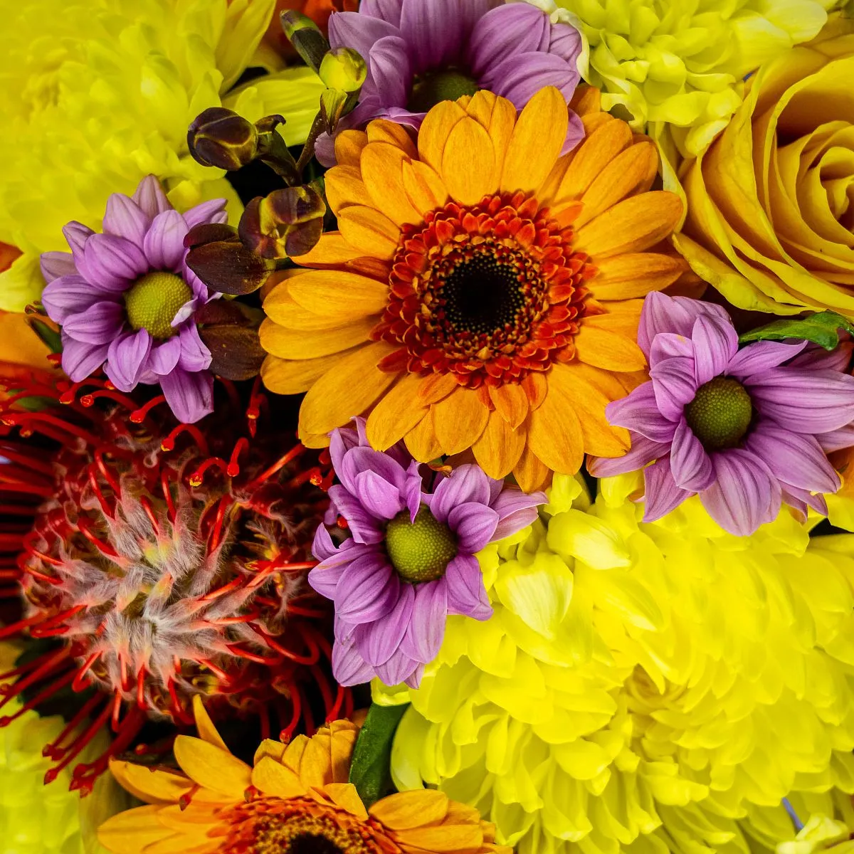 Розы микс и хризантемы микс в коробке