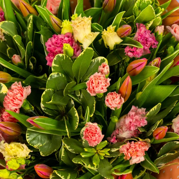 Букет из 25 тюльпанов и гвоздик