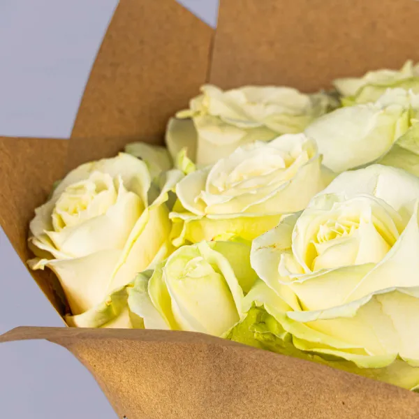 15 бело-зеленых роз (60 см)