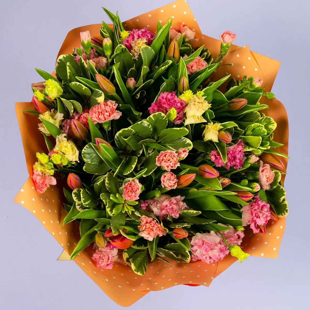 Букет из 25 тюльпанов и гвоздик