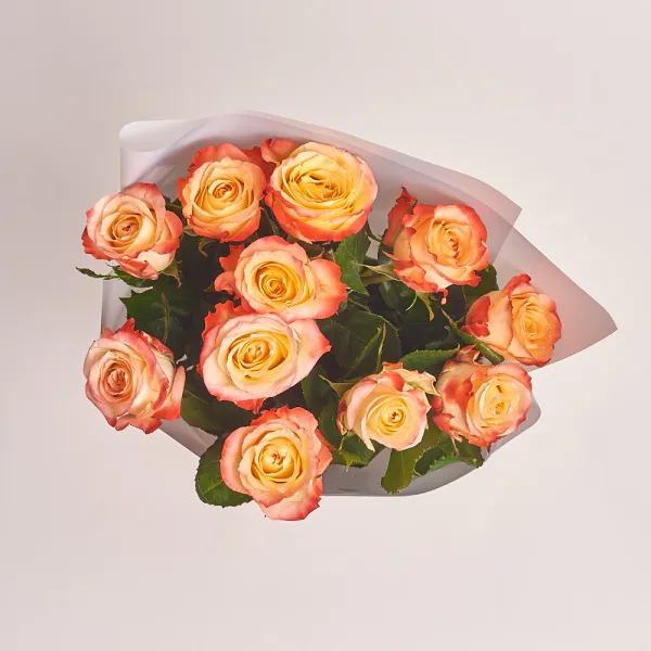 11 кремово-красных роз (60 см)