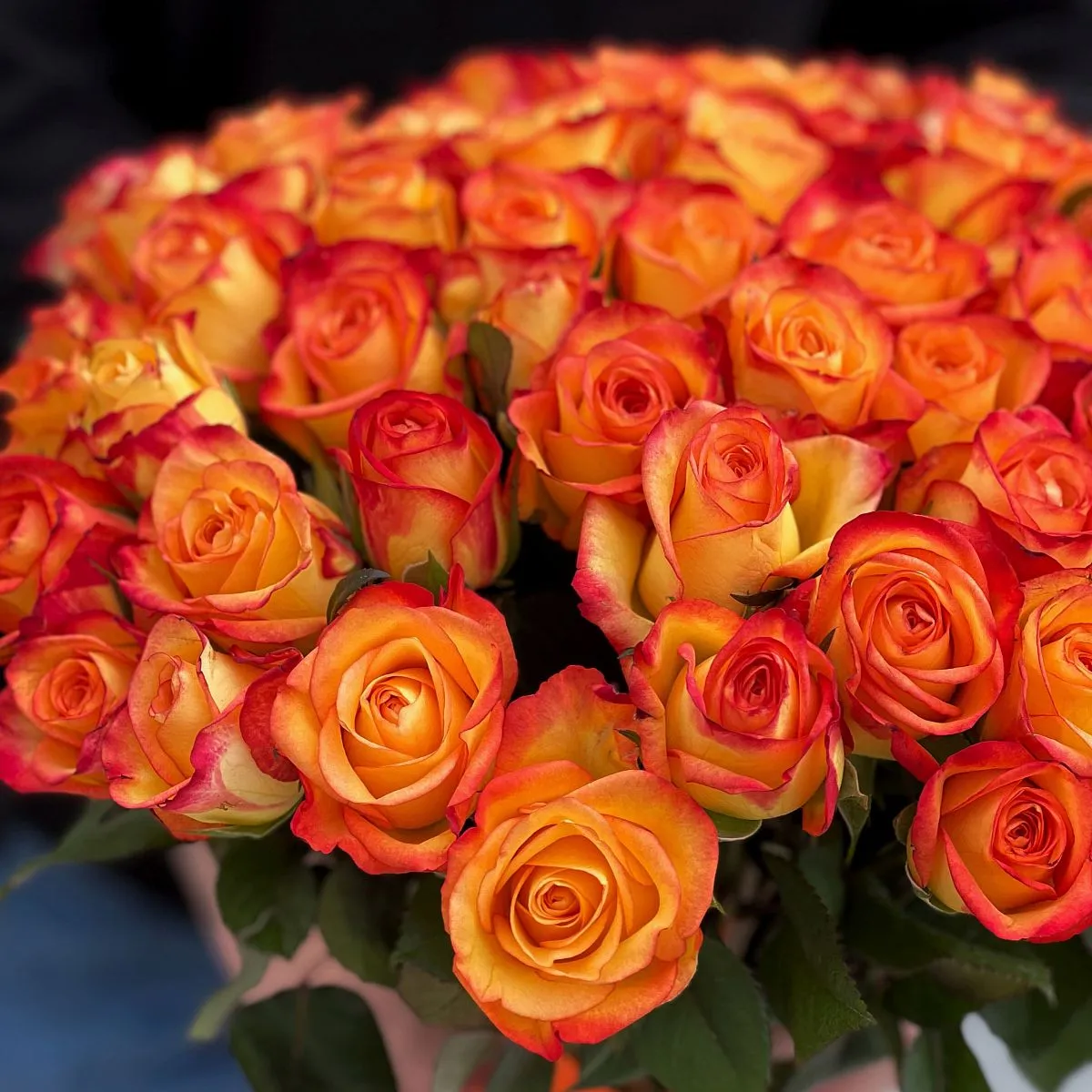 47 оранжевых роз (35 см)