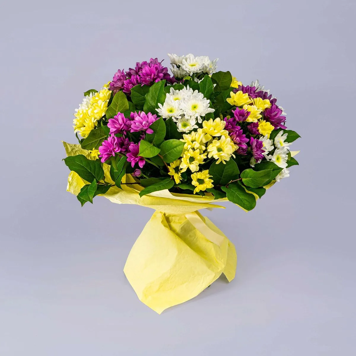 35 хризантем микс