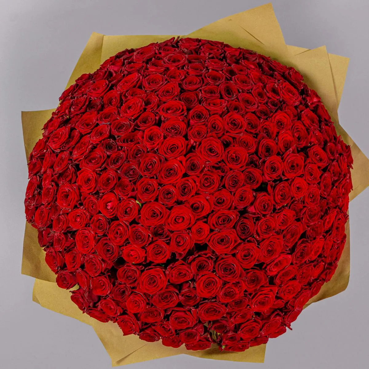 251 красная роза (60 см)