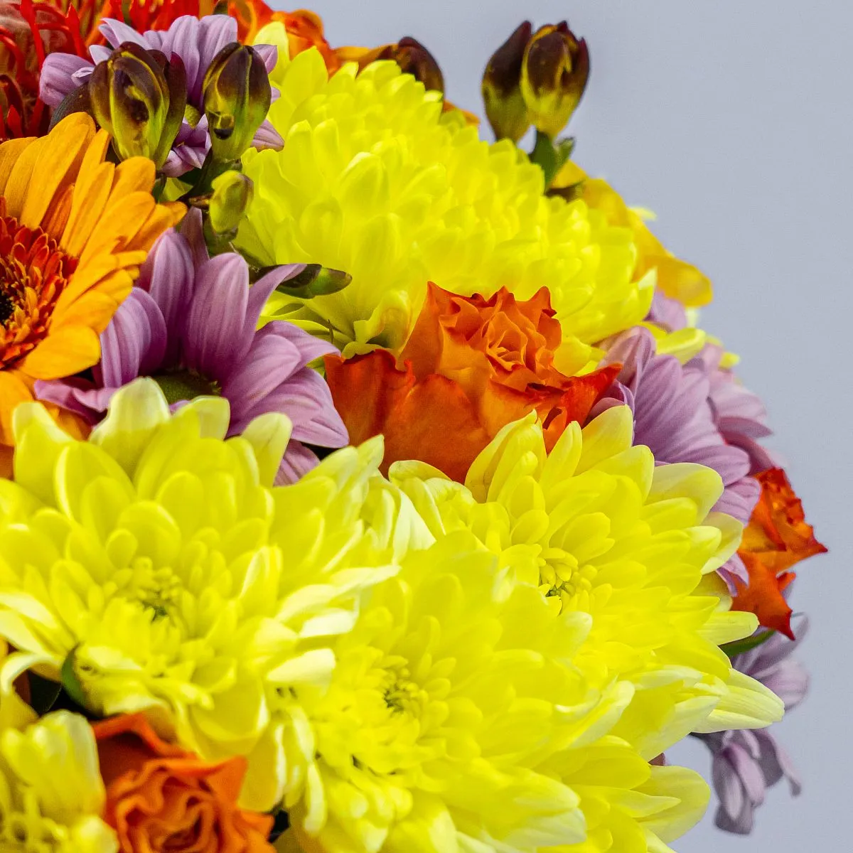 Розы микс и хризантемы микс в коробке