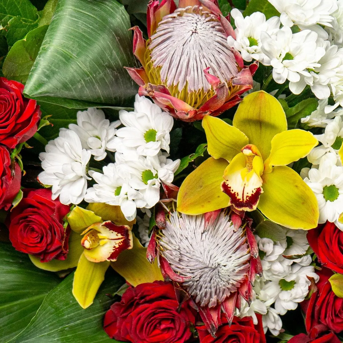 Букет из протей, орхидеи и алых роз