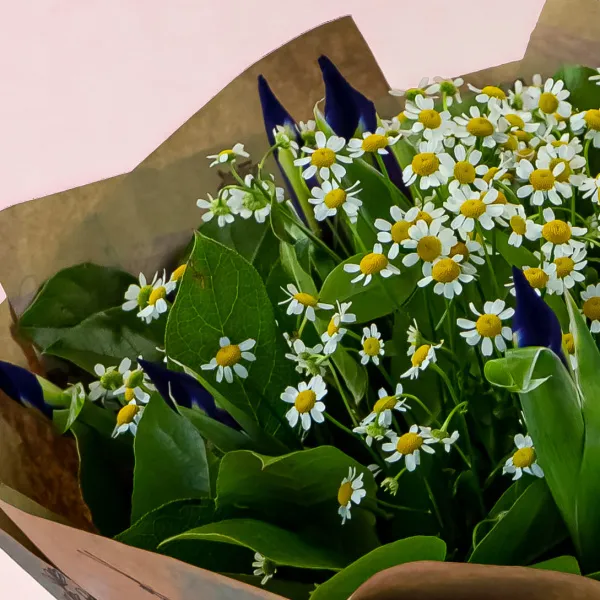 Букет из ромашек и 11 ирисов