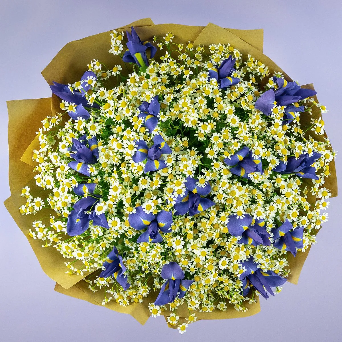 Букет из ирисов и ромашек