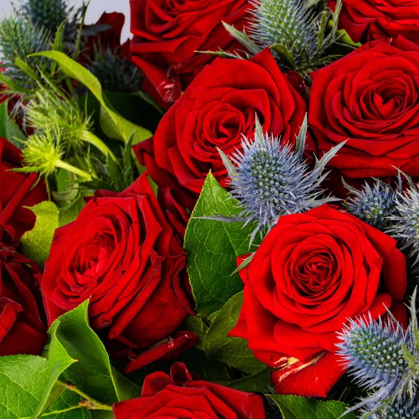 35 роз и эрингиумы