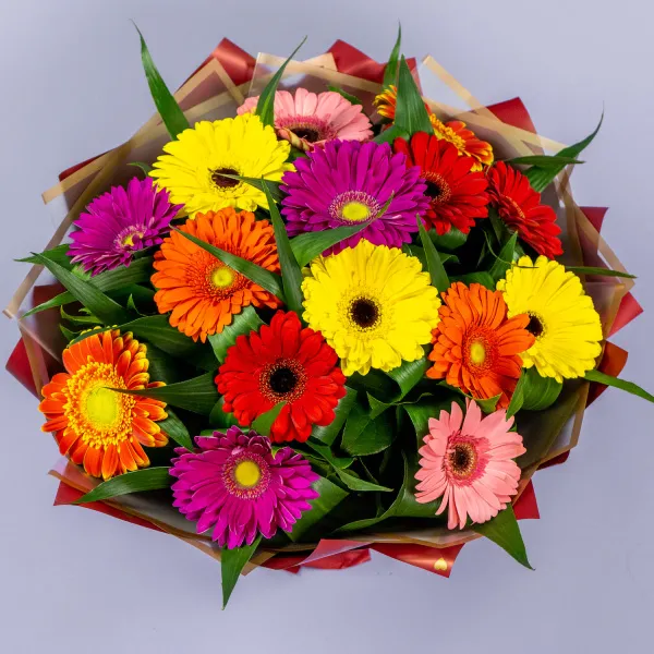 Букет из 15 гербер