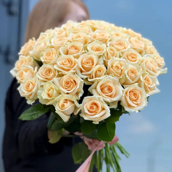 31 кремовая роза (50 см)