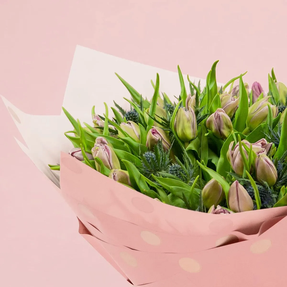 Букет из 49 тюльпанов и эрингиума