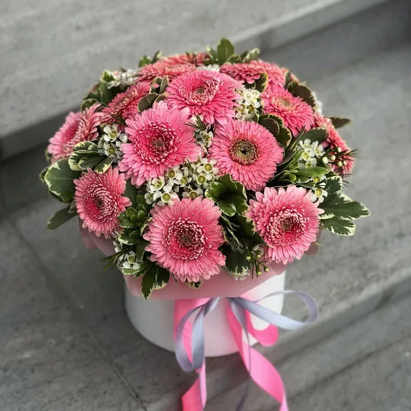 Герберы и питтоспорумы в коробке